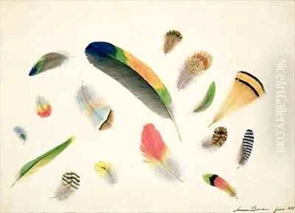 Studies of Feathers Oil Painting by Anne Bowen