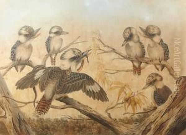 Kookaburras Oil Painting by Neville Henry P. Cayley