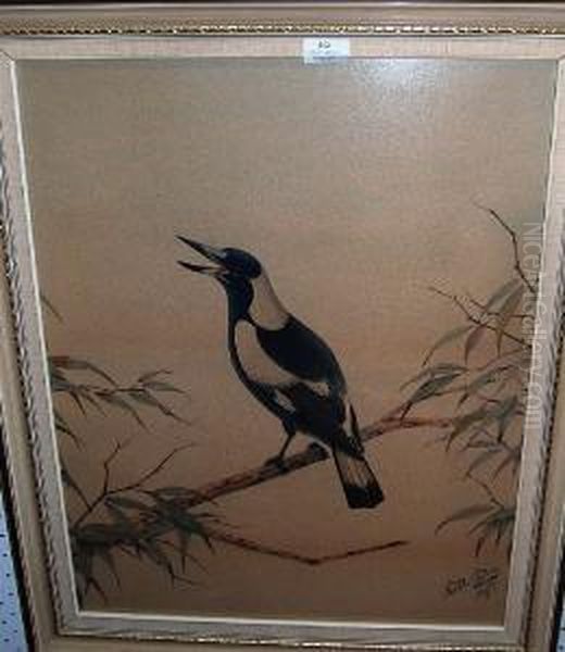 Magpie Oil Painting by Neville Henry P. Cayley
