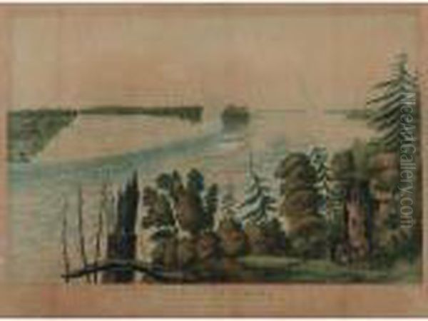The Falls Of Niagara. This 
General View Above The English Ferry; And The Falls Of Niagara. This 
View Of The American Fall, From Goat Island (lane 300 And 303) Oil Painting by Cockburn, James Pattison