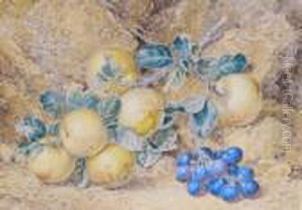Still Life Of Apples And Grapes Oil Painting by Thomas Collier