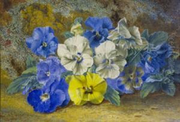 Pansies Oil Painting by Thomas Collier