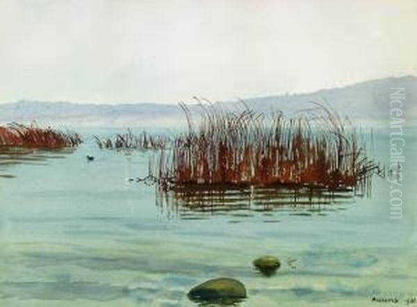 Seelandschaft Mit Schilf Oil Painting by Plinio Colombi
