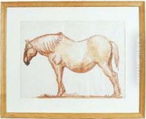 Cheval De Trait