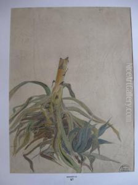 Bananier Et Pied D'aloes Oil Painting by Suzanne Crepin