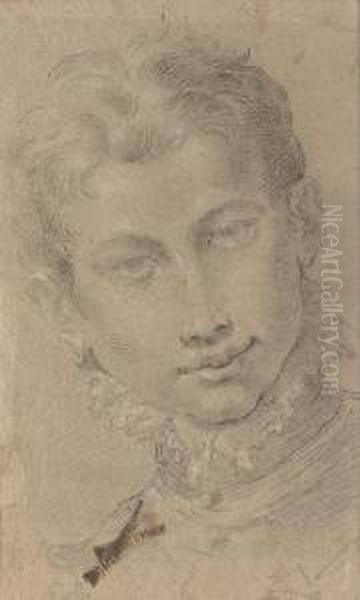 A Youth, Bust-length, Wearing A Ruff Oil Painting by Donato Creti
