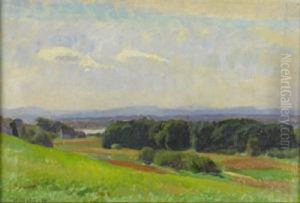 Morgen An Der Drau Oil Painting by Constantin Damianos