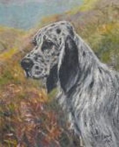 An English Setter