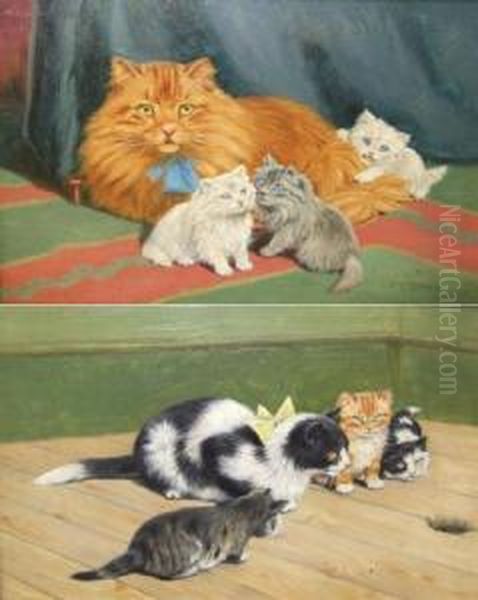 Cat Studies Oil Painting by Thomas C. S. Benham
