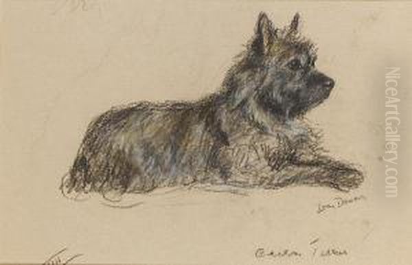 A Cairn Terrier Oil Painting by Lucy Dawson