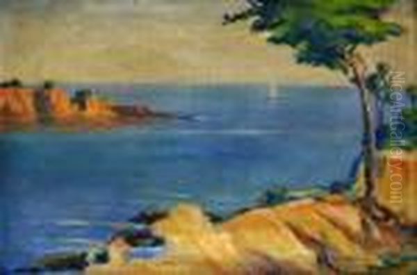 Vyjav Z Jadranu Oil Painting by Jan Dedina