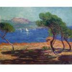 Paysage D'agay