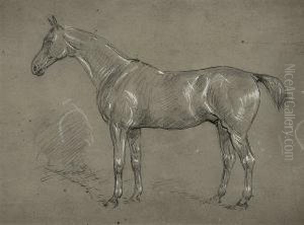 Study Of A Horse Oil Painting by J. Duvall