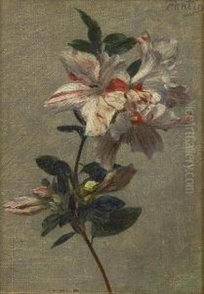 Azalees Oil Painting by Victoria Dubourg