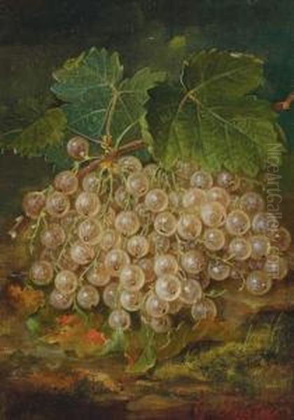 Still Life With White Currants Still Life With Red Currants Oil Painting by George Forster