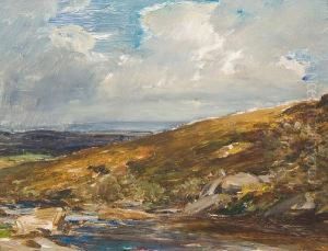The Stream, Belstone, Devon