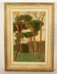 Paesaggio