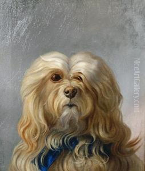 Maltese Terrier Oil Painting by George Earl