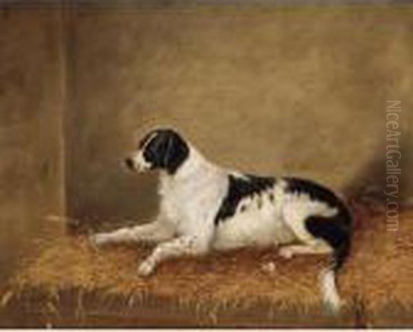 Study Of A Dog Oil Painting by W.J. Gilbert