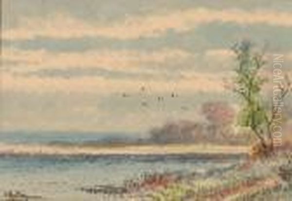 Birds In Flight Over Salt Marshes Oil Painting by Alfred I Glendening