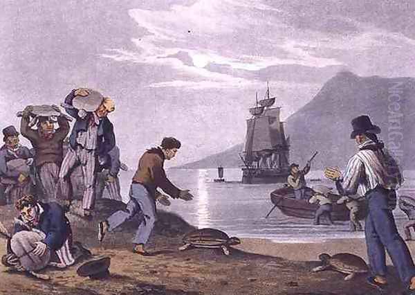 Turtle Catching on Land Oil Painting by John Heaviside Clark