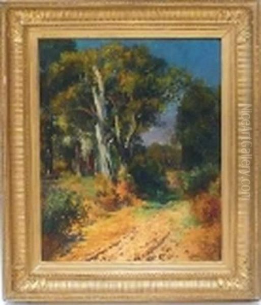  Paysage De Provence  Oil Painting by Laurent Gsell