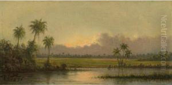 Palm Trees, Florida Oil Painting by Martin Johnson Heade