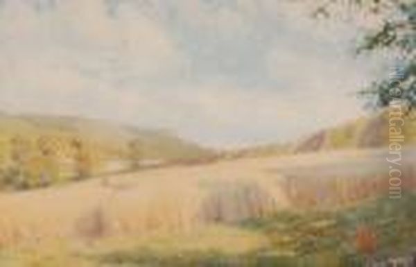 Extensive Harvest Landscape Near Thecoast Oil Painting by Grace Henry