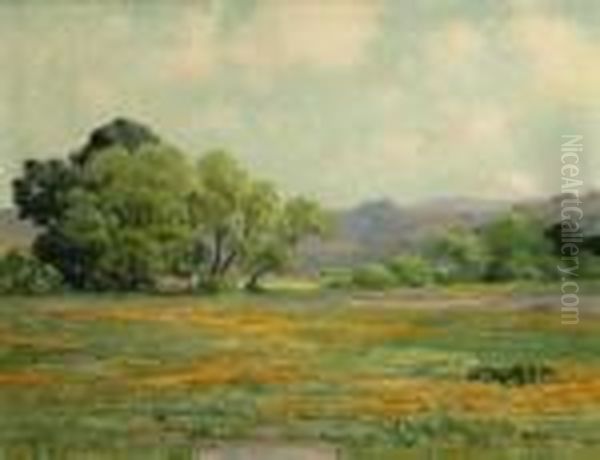 When The Poppies Bloom - Near San Luis Obispo Oil Painting by Anna Althea Hills