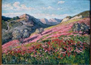 Paysage Montagneux Aux Coquelicots