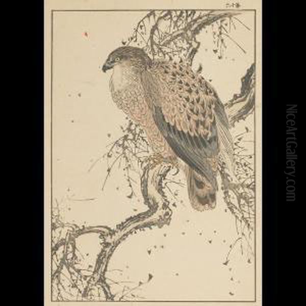Hawk Oil Painting by Imao Keinen