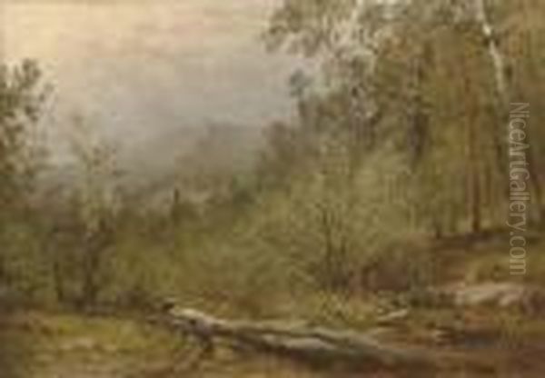 Trotter's Spring, Colorado Oil Painting by John Frederick Kensett