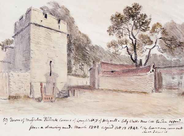 Magdalen Bridge And Tower, Oxford Oil Painting by Dr. William Crotch