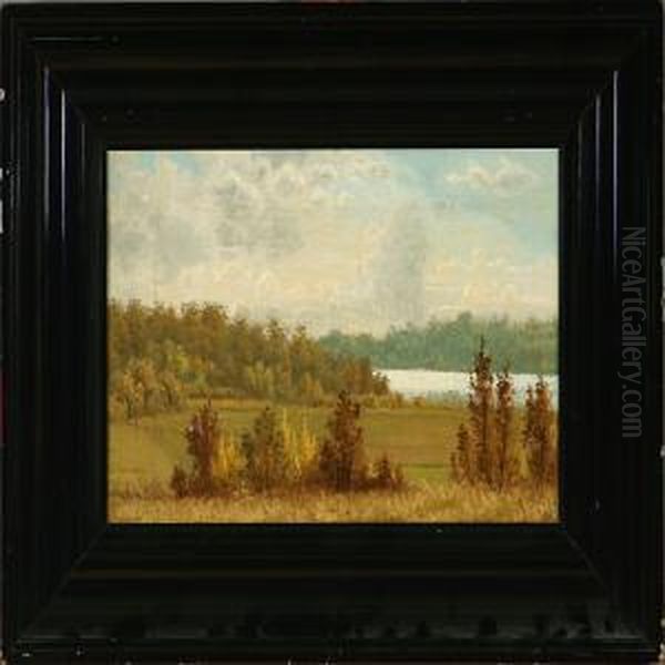 Efteraarslandskab Vedsilkeborg Oil Painting by Vilhelm Kyhn