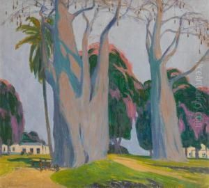 Les Baobabs
