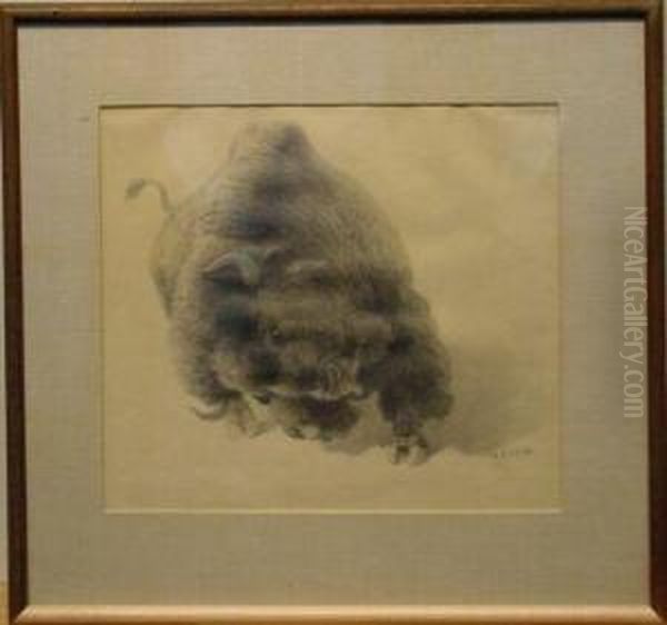 Buffalo, Study For 'the Buffalo Hunt' Oil Painting by William Robinson Leigh