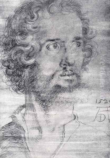 Head Of St Mark Oil Painting by Albrecht Durer