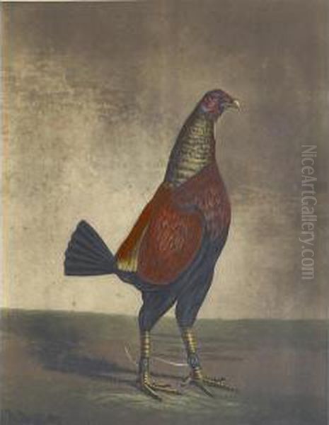 Untitled Oil Painting by Benjamin Marshall