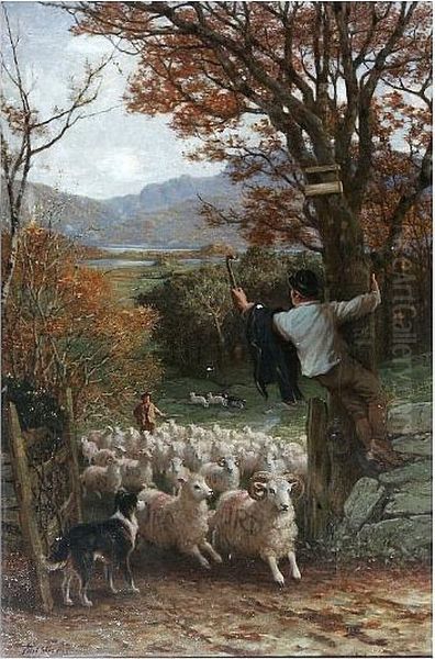 Changing Pastures Oil Painting by Phillip Richard Morris