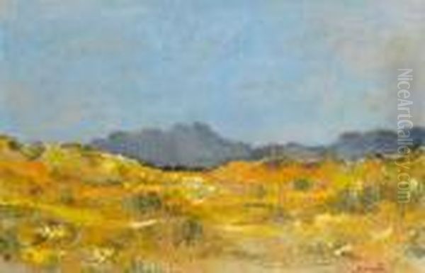 Spring, Cape Flats Oil Painting by Hugo Pieter Naude