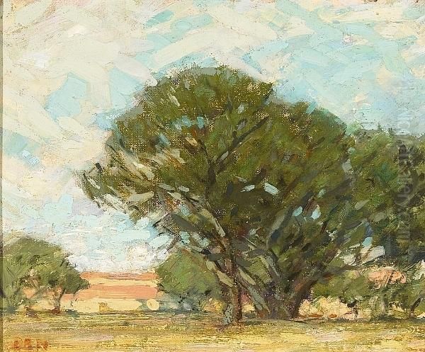 The Grounds At Stanford, Palo Alto Oil Painting by Ernest Bruce Nelson