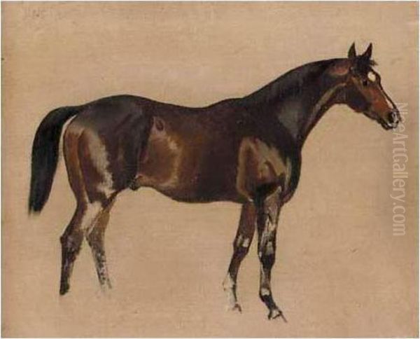Three Sketches Of Horses Oil Painting by James Lynwood Palmer