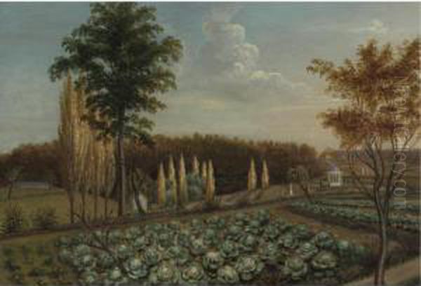 Cabbage Patch, The Gardens Of Belfield, Pennsylvania Oil Painting by Charles Willson Peale