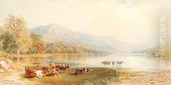 Cattle Resting By A Lake Oil Painting by Cornelius Pearson