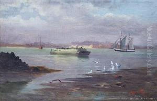 Takapuna Beach From Rangitoto Oil Painting by John Douglas Perrett