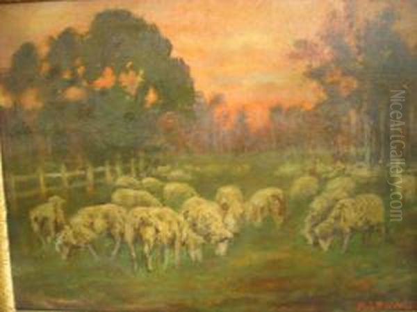 Sunset, Sheep In Foreground Oil Painting by Harold Septimus Power