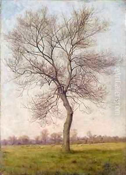 Study of an Ash Tree in Winter Oil Painting by James Hey Davies