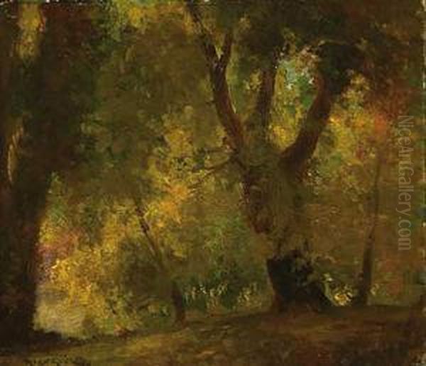 Bosque Oil Painting by Antoni Ros Gell