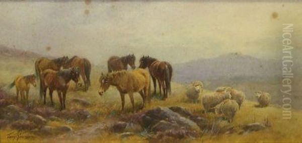 Ponies And Sheep On Dartmoor Oil Painting by Thomas, Tom Rowden