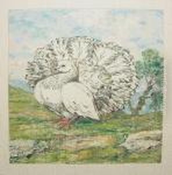 A Group Of Bird Pictures (5) Oil Painting by Giotto Sacchetti